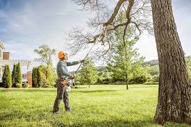 How Our Tree Care Process Works  in New Miami, OH